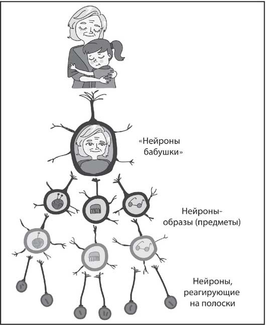 Иллюстрация к книге — Мозг. Как он устроен и что с ним делать [i_014.jpg]