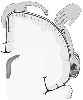 Иллюстрация к книге — Мозг. Как он устроен и что с ним делать [i_027.jpg]