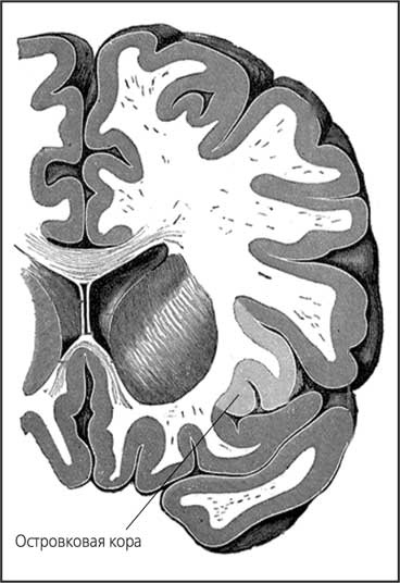 Иллюстрация к книге — Мозг. Как он устроен и что с ним делать [i_052.jpg]