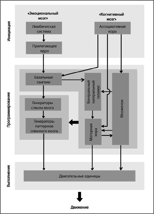 Иллюстрация к книге — Мозг. Как он устроен и что с ним делать [i_054.jpg]