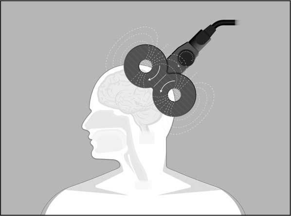 Иллюстрация к книге — Мозг. Как он устроен и что с ним делать [i_055.jpg]