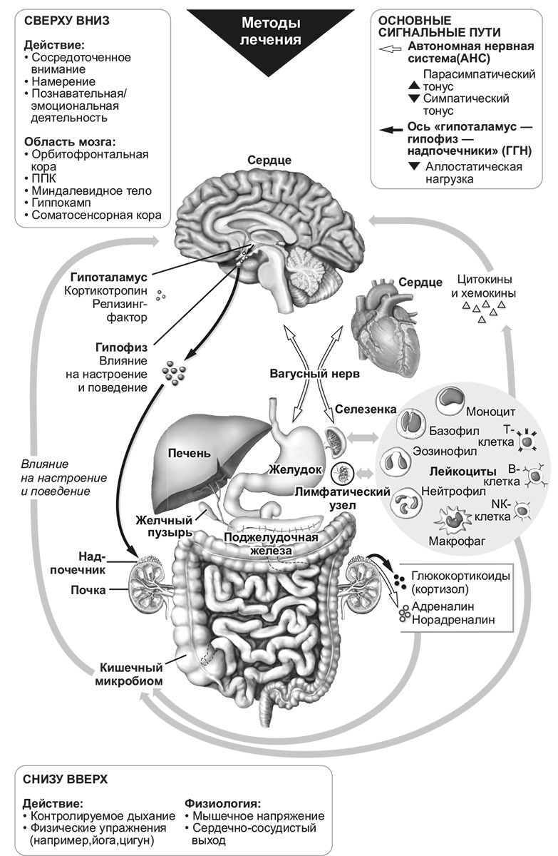 Иллюстрация к книге — Сила внутри тебя [i_001.jpg]