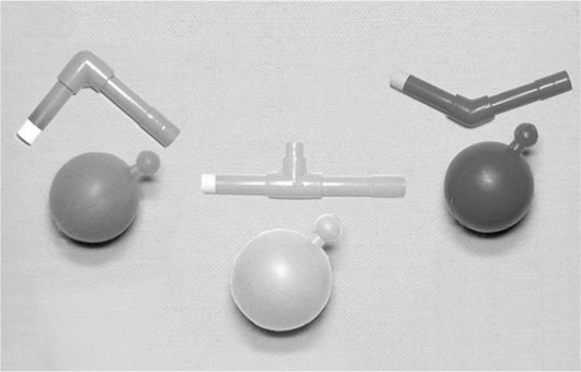 Иллюстрация к книге — Биология веры. Как сила убеждений может изменить ваше тело и разум [i_004.jpg]