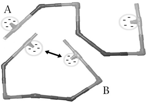 Иллюстрация к книге — Биология веры. Как сила убеждений может изменить ваше тело и разум [i_005.jpg]