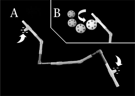 Иллюстрация к книге — Биология веры. Как сила убеждений может изменить ваше тело и разум [i_006.jpg]