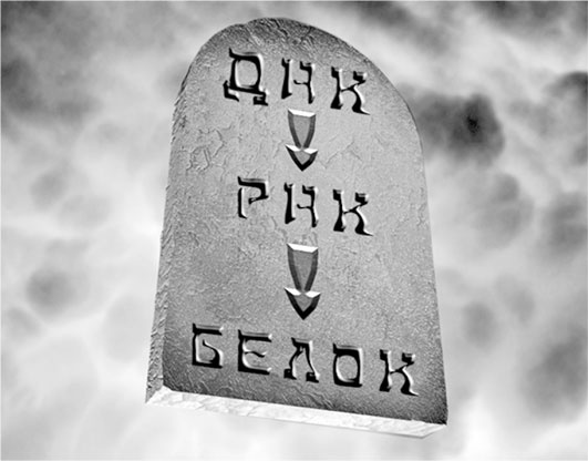 Иллюстрация к книге — Биология веры. Как сила убеждений может изменить ваше тело и разум [i_010.jpg]