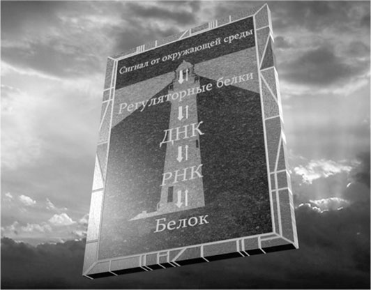 Иллюстрация к книге — Биология веры. Как сила убеждений может изменить ваше тело и разум [i_011.jpg]