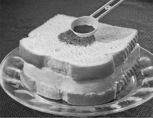 Иллюстрация к книге — Биология веры. Как сила убеждений может изменить ваше тело и разум [i_015.jpg]