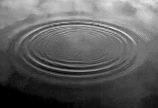 Иллюстрация к книге — Биология веры. Как сила убеждений может изменить ваше тело и разум [i_025.jpg]