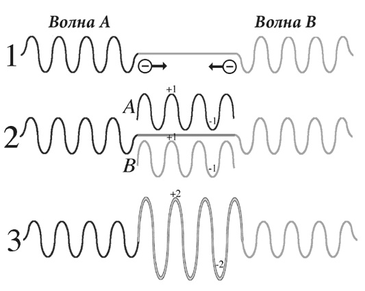 Иллюстрация к книге — Биология веры. Как сила убеждений может изменить ваше тело и разум [i_026.jpg]