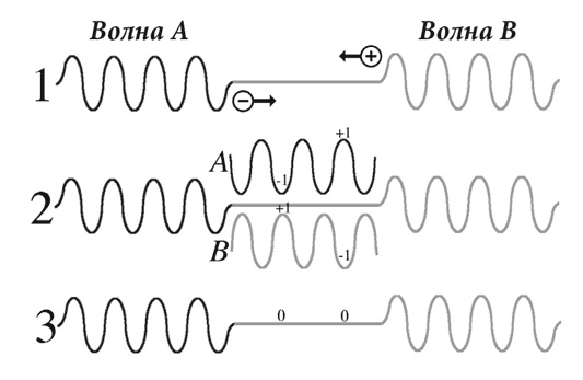 Иллюстрация к книге — Биология веры. Как сила убеждений может изменить ваше тело и разум [i_027.jpg]