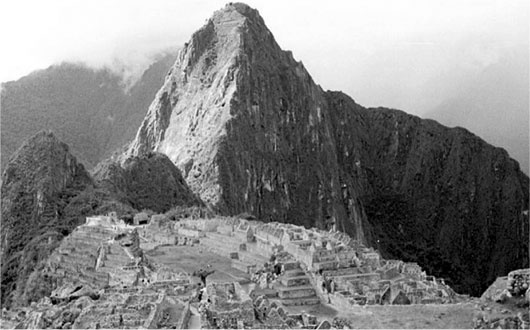 Иллюстрация к книге — Биология веры. Как сила убеждений может изменить ваше тело и разум [i_029.jpg]