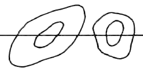 Иллюстрация к книге — Людвиг Витгенштейн. Долг гения [i_008.jpg]