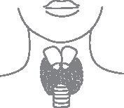 Иллюстрация к книге — Доказательная медицина. Чек-лист здорового человека, или Что делать, пока ничего не болит [i_076.jpg]