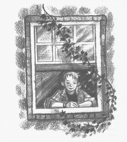 Иллюстрация к книге — Пендервики [berds0003.jpg]