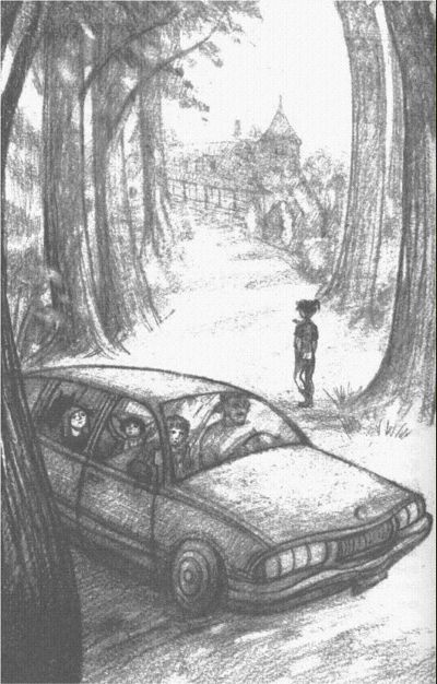 Иллюстрация к книге — Пендервики [berds0004.jpg]