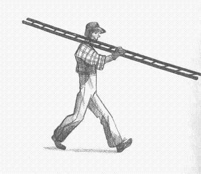 Иллюстрация к книге — Пендервики [berds0021.jpg]