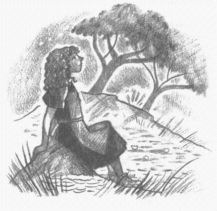 Иллюстрация к книге — Пендервики [berds0039.jpg]