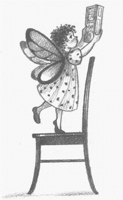 Иллюстрация к книге — Пендервики [berds0046.jpg]