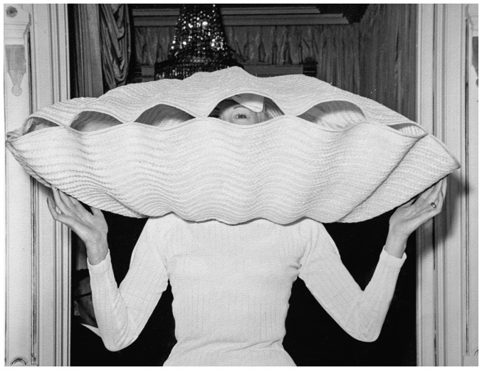 Иллюстрация к книге — Модное восхождение [i_014.jpg]