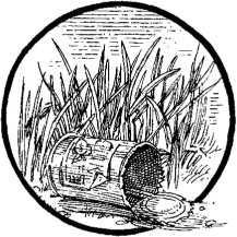 Иллюстрация к книге — Наш принцип [i_015.jpg]