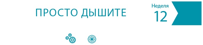 Иллюстрация к книге — Одна привычка в неделю для всей семьи [i_017.jpg]