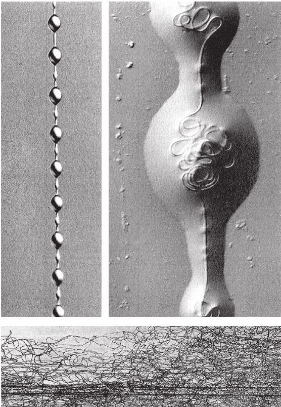 Иллюстрация к книге — Восхождение на гору Невероятности [i_021.jpg]