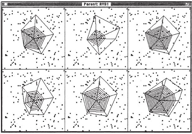 Иллюстрация к книге — Восхождение на гору Невероятности [i_028.jpg]