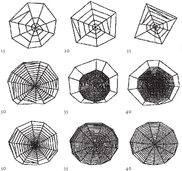 Иллюстрация к книге — Восхождение на гору Невероятности [i_029.jpg]