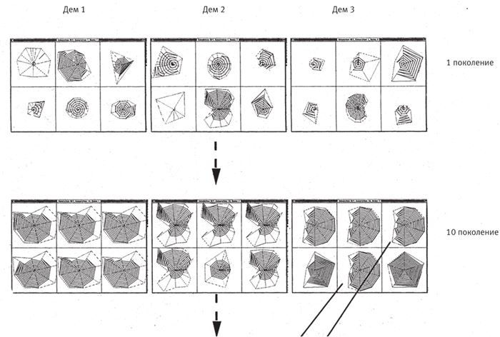 Иллюстрация к книге — Восхождение на гору Невероятности [i_030.jpg]