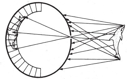 Иллюстрация к книге — Восхождение на гору Невероятности [i_050.jpg]