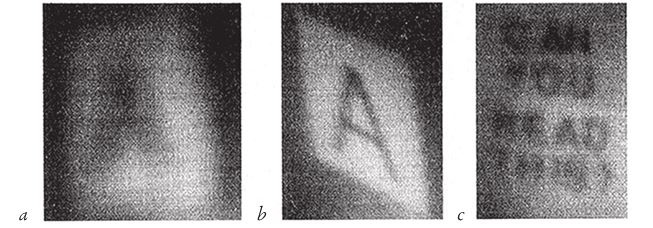 Иллюстрация к книге — Восхождение на гору Невероятности [i_055.jpg]