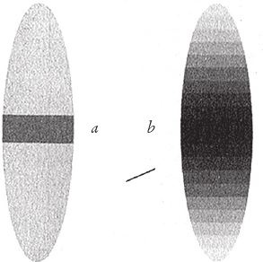 Иллюстрация к книге — Восхождение на гору Невероятности [i_056.jpg]