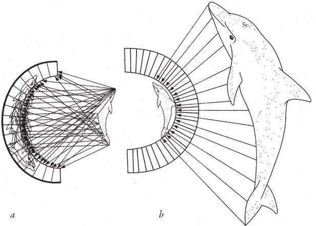 Иллюстрация к книге — Восхождение на гору Невероятности [i_063.jpg]