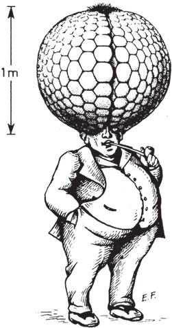 Иллюстрация к книге — Восхождение на гору Невероятности [i_065.jpg]