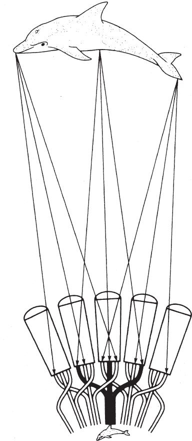 Иллюстрация к книге — Восхождение на гору Невероятности [i_070.jpg]
