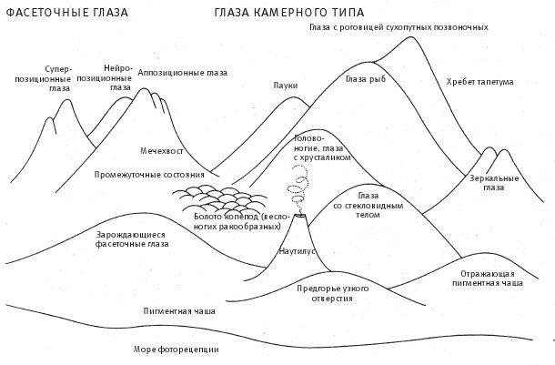 Иллюстрация к книге — Восхождение на гору Невероятности [i_074.jpg]