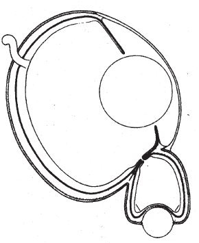Иллюстрация к книге — Восхождение на гору Невероятности [i_075.jpg]
