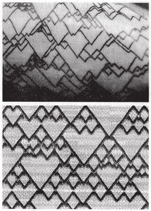 Иллюстрация к книге — Восхождение на гору Невероятности [i_092.jpg]