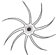 Иллюстрация к книге — Восхождение на гору Невероятности [i_095.jpg]