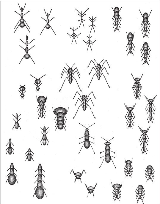 Иллюстрация к книге — Восхождение на гору Невероятности [i_108.jpg]