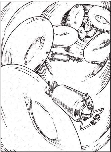 Иллюстрация к книге — Восхождение на гору Невероятности [i_123.jpg]