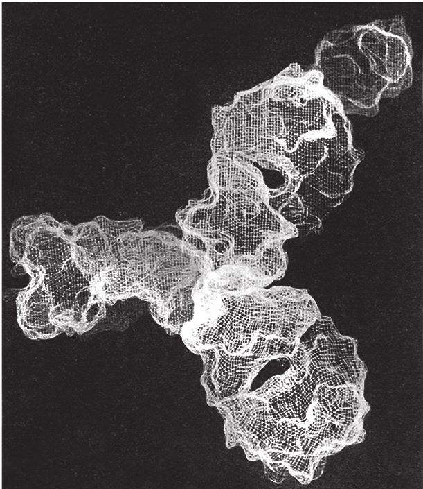 Иллюстрация к книге — Восхождение на гору Невероятности [i_124.jpg]