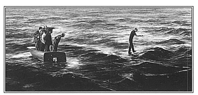 Иллюстрация к книге — Игры тестостерона и другие вопросы биологии поведения [i_006.jpg]