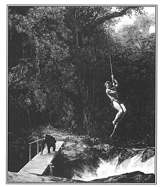 Иллюстрация к книге — Игры тестостерона и другие вопросы биологии поведения [i_014.jpg]