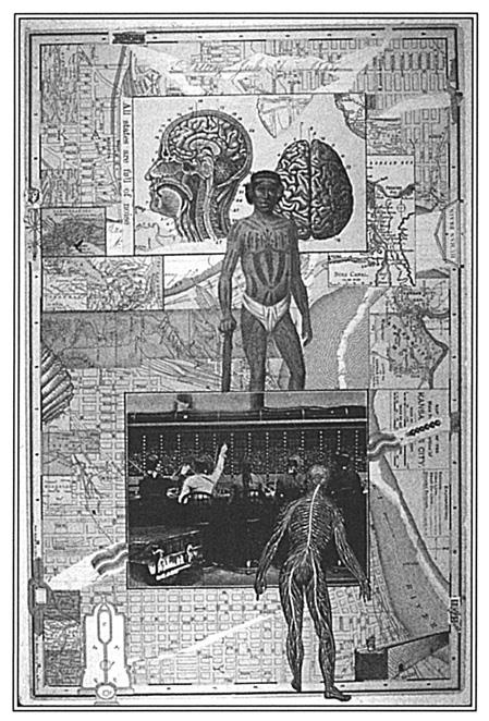 Иллюстрация к книге — Игры тестостерона и другие вопросы биологии поведения [i_015.jpg]