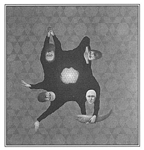 Иллюстрация к книге — Игры тестостерона и другие вопросы биологии поведения [i_016.jpg]