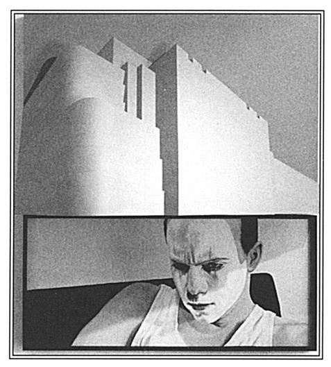 Иллюстрация к книге — Игры тестостерона и другие вопросы биологии поведения [i_018.jpg]