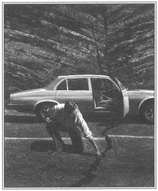 Иллюстрация к книге — Игры тестостерона и другие вопросы биологии поведения [i_023.jpg]