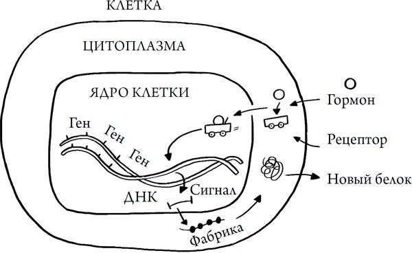 Иллюстрация к книге — Человек Противный [i_085.jpg]